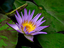 %_tempFileName05-20011028-0022%
