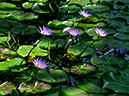 %_tempFileName08-20020808-0045%