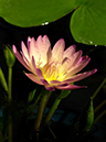 %_tempFileName01-20010211-0154%