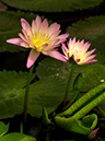%_tempFileName02-20010414-0062%