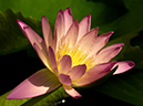 %_tempFileName03-20010422-0080%