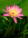 %_tempFileName04-20010826-0092%