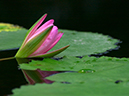 %_tempFileName08-20021208-0063%