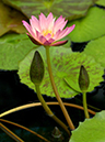 %_tempFileName03-20040815-0187%