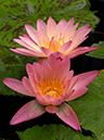 %_tempFileName05-20050108-0127%
