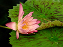 %_tempFileName07-20050925-0131%