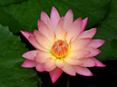 %_tempFileName09-20091122-0163%