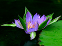 %_tempFileName02-20020824-0038%