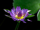 %_tempFileName03-20030126-0018%