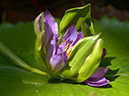 %_tempFileName04-20030928-0080%