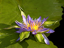 %_tempFileName06-20041211-0306%