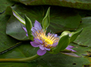 %_tempFileName07-20050213-0165%