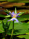 %_tempFileName10-20060416-0038%