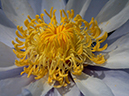 %_tempFileName02-20030314-0159%
