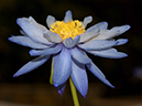 %_tempFileName03-20030426-0070%