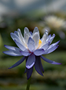 %_tempFileName04-20030608-0180%