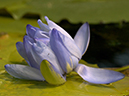 %_tempFileName05-20030817-0087%