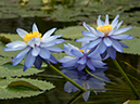 %_tempFileName06-20031103-0266%