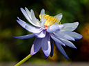 %_tempFileName08-20051030-0054%