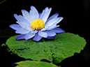 %_tempFileName09-20051218-0139%