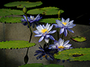 %_tempFileName10-20051224-0200%