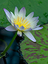 %_tempFileName01-20020127-0323%