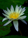 %_tempFileName03-20020223-0143%