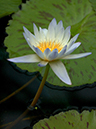 %_tempFileName06-20031103-0071%