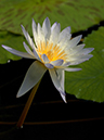 %_tempFileName08-20040221-0035%