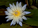 %_tempFileName09-20040504-0181%