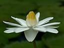 %_tempFileName01-20030713-0017%