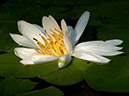 %_tempFileName04-20050129-0002%