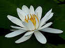 %_tempFileName05-20050205-0024%