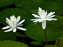 %_tempFileName06-20050205-0140%