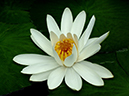 %_tempFileName07-20050313-0022%