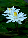 %_tempFileName09-20121209-0140%