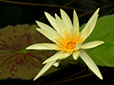%_tempFileName03-20040612-0108%