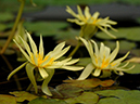 %_tempFileName07-20060312-0277%