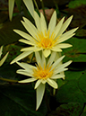 %_tempFileName08-20071014-0037%