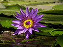 %_tempFileName01-20010422-0037%