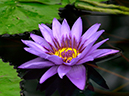 %_tempFileName03-20011017-0132%