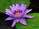 %_tempFileName04-20011028-0028%