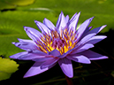 %_tempFileName05-20041106-0177%