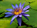 %_tempFileName06-20050619-0022%