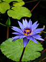 %_tempFileName07-20060910-0101%