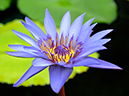 %_tempFileName08-20061029-0347%