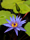 %_tempFileName09-20070316-0305%