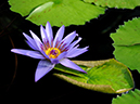 %_tempFileName10-20100111-0032%