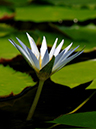 %_tempFileName01-20050625-0105%