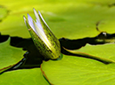 %_tempFileName03-20050724-0251%
